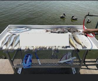 Galveston Report Photo 2