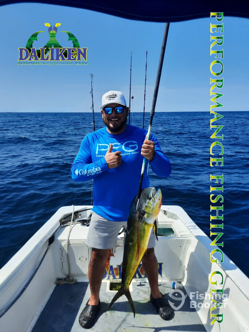 San Jose del Cabo Report Photo 0