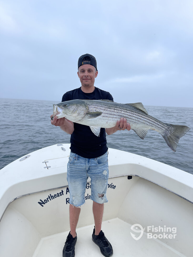 Narragansett Report Photo 0