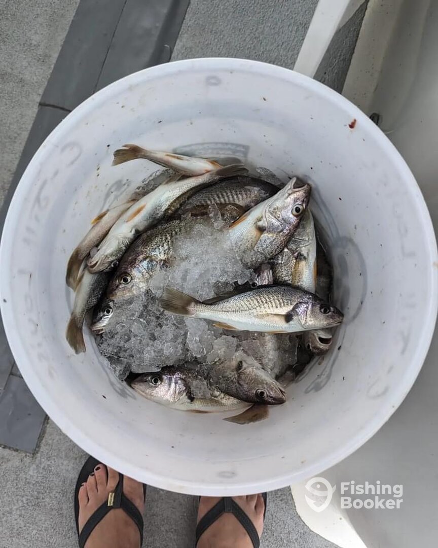 Wanchese Report Photo 0