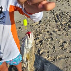 Stone Harbor Report Photo 1