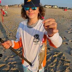 Stone Harbor Report Photo 2