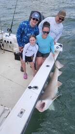 Sharking action 