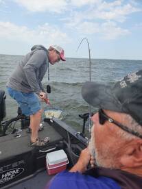 September muskie and walleye is coming ?