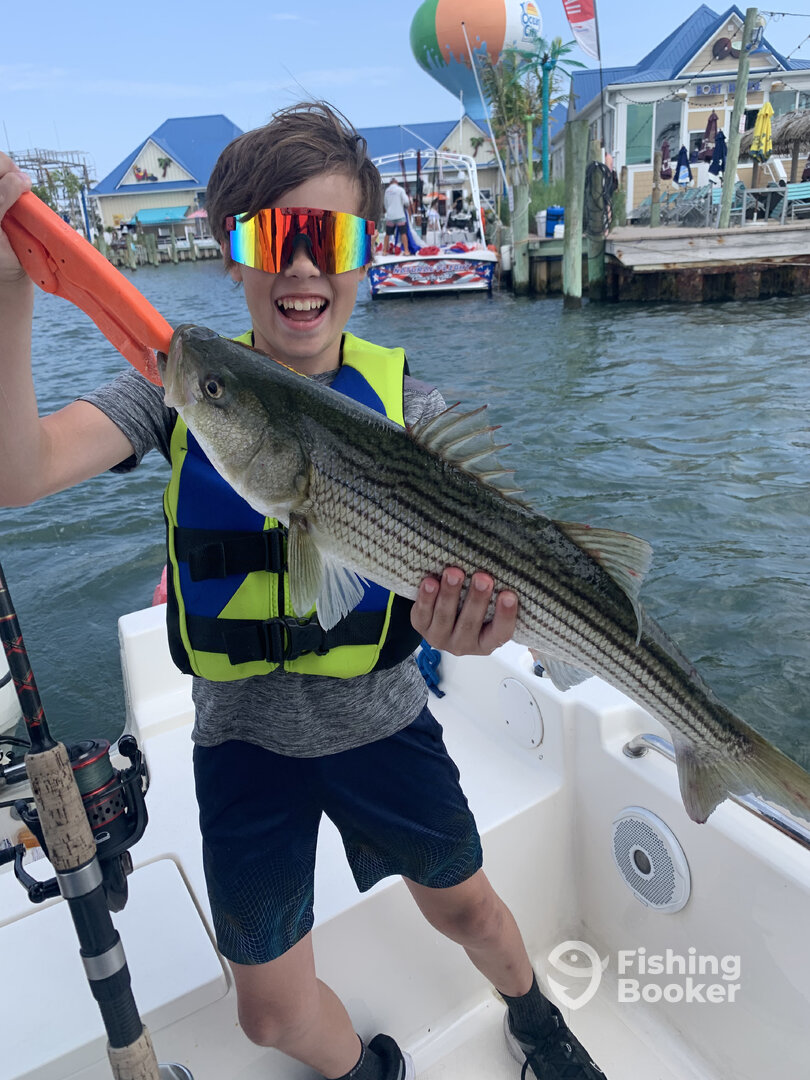 Ocean City Report Photo 0