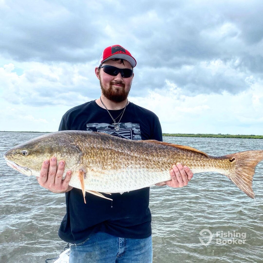 Lafitte Report Photo 0