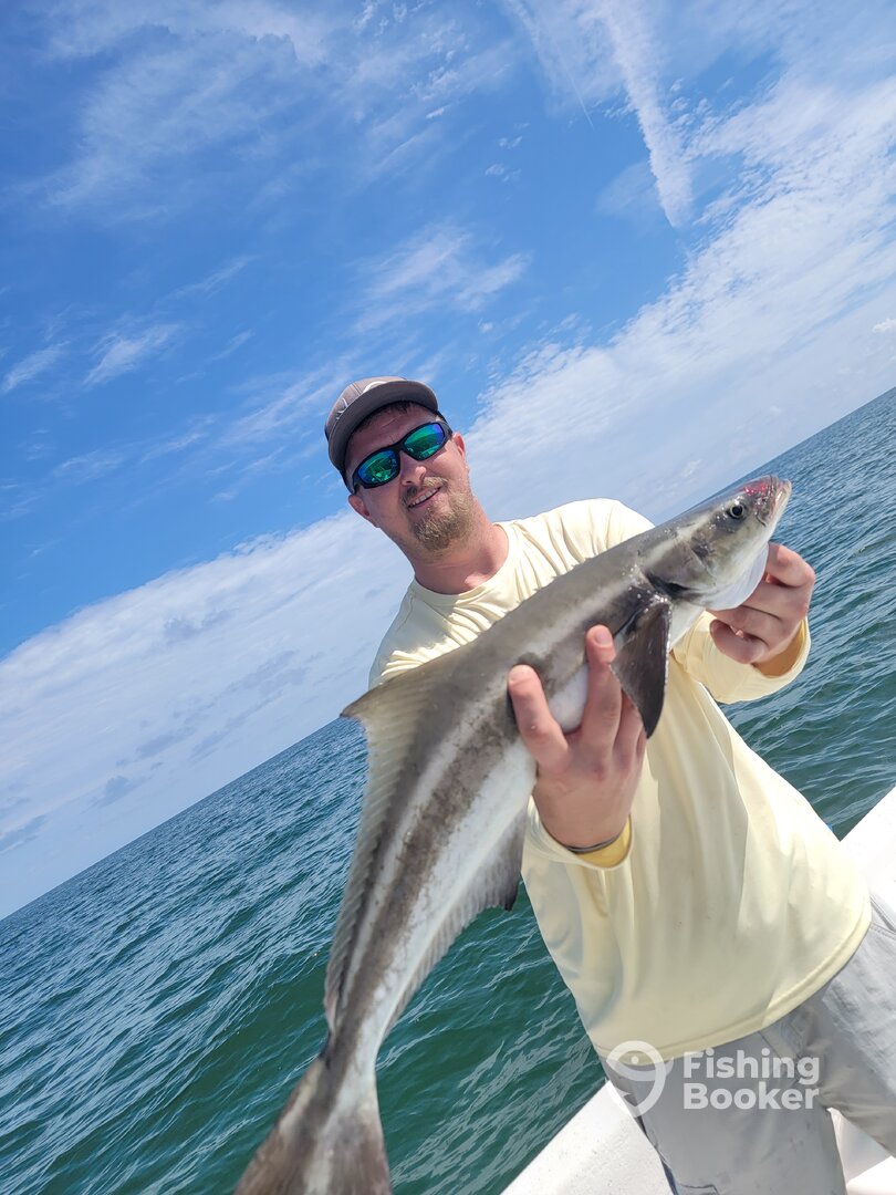 Cedar Key Report Photo 0