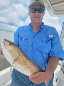 Cedar Key Report Photo 1