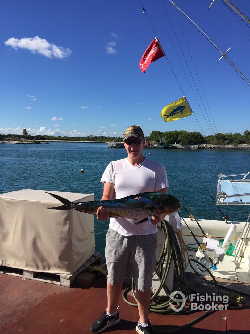 Punta Cana Report Photo 0