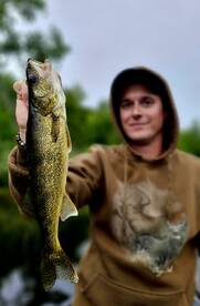 Grand Rapids Report Photo 2