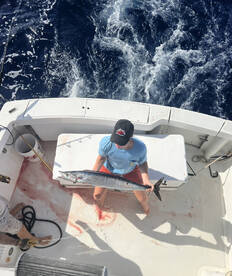 Wahoo fishing half day morning charter