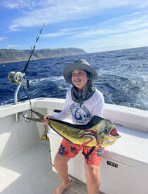 Haleiwa Report Photo 2
