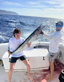 Mahimahi and Wahoo fishing afternoon cha