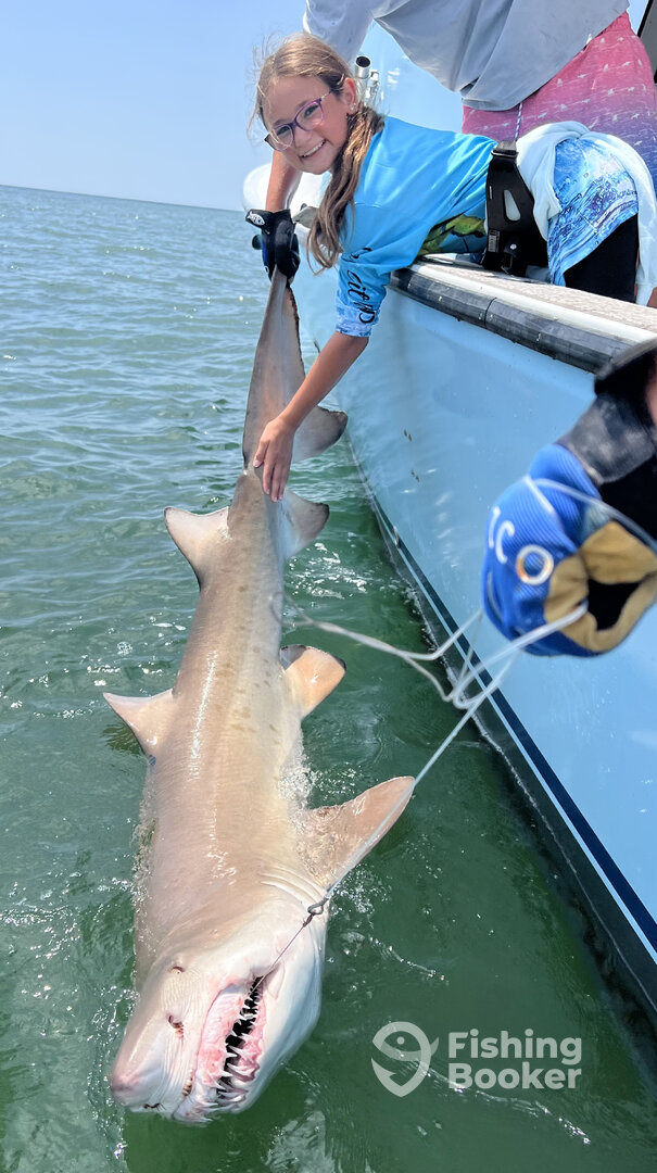 Ocean City Report Photo 0