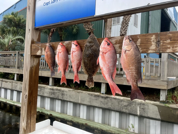 Snapper season is going strong 