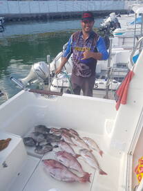 Funchal Report Photo 1