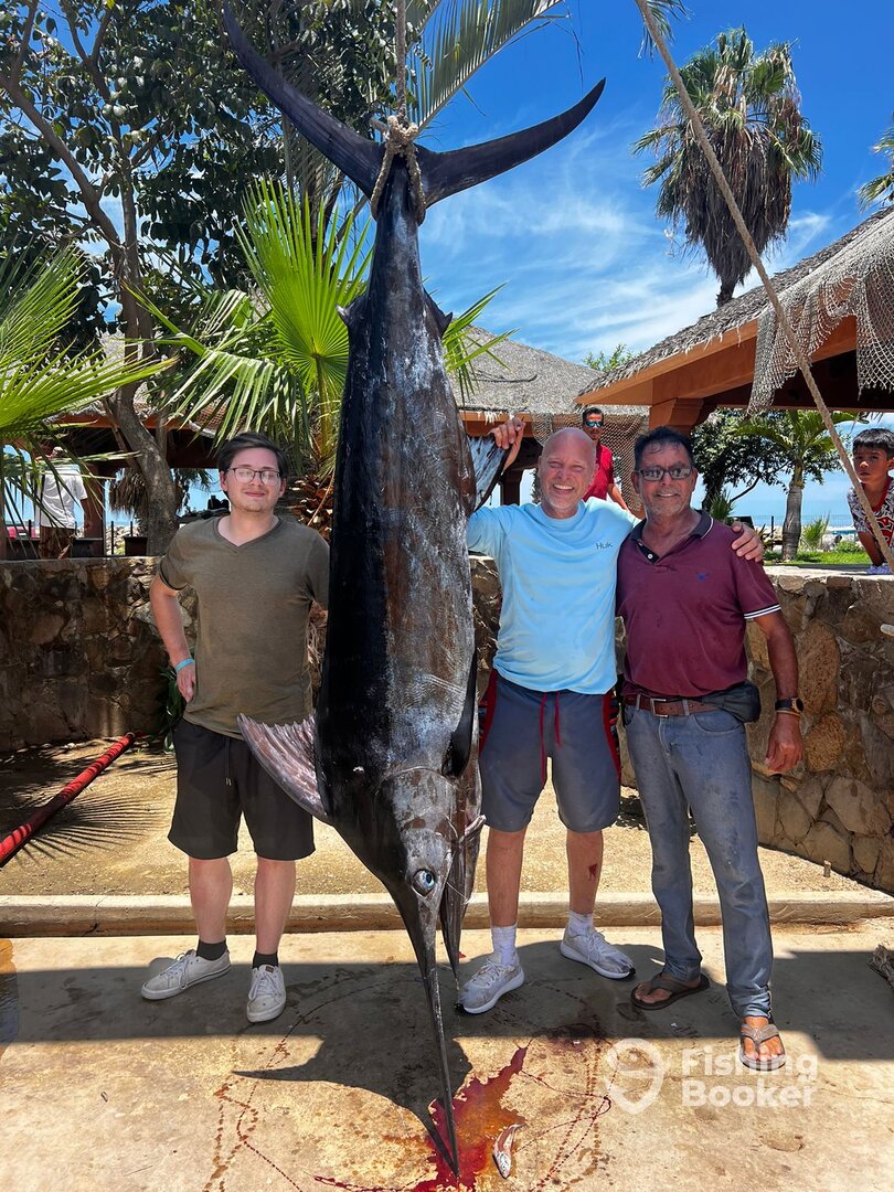 San Jose del Cabo Report Photo 0