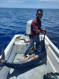 San Jose del Cabo Report Photo 1