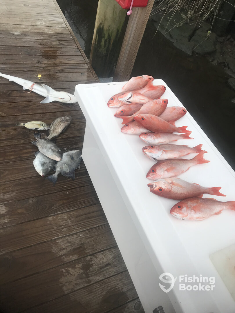 North Myrtle Beach Report Photo 0