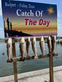 Nice box of fish for these guys.