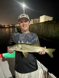 Bait and snook everywhere! Mid July is o