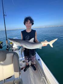 Palm Coast Report Photo 2