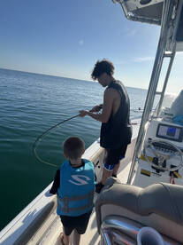 Sharks off the beach are tons of fun! An