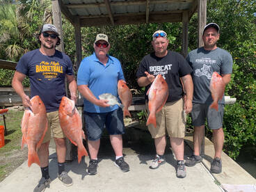 Red Snapper Season 