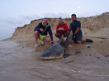 Shark Fishing 13 - 02 - 2017