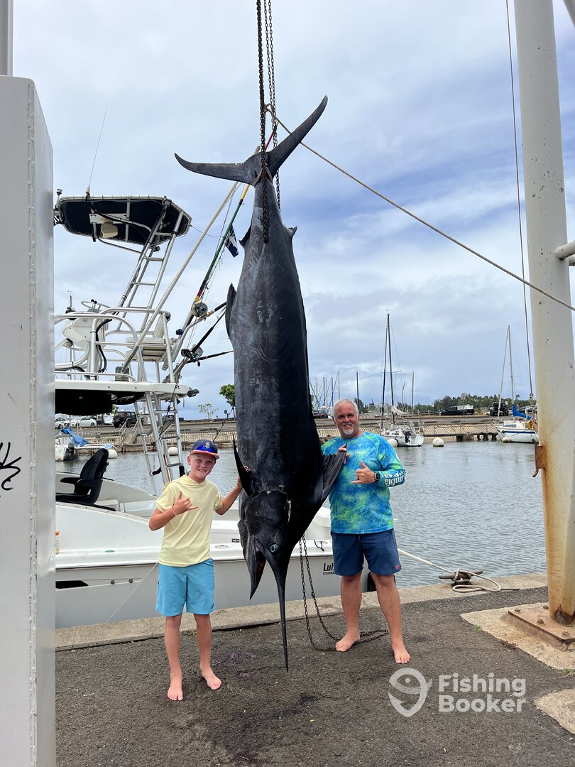 Huge blue marlin