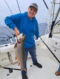 Huge Lake trout