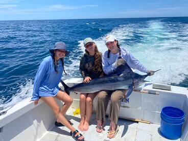 San Jose del Cabo Report Photo 2