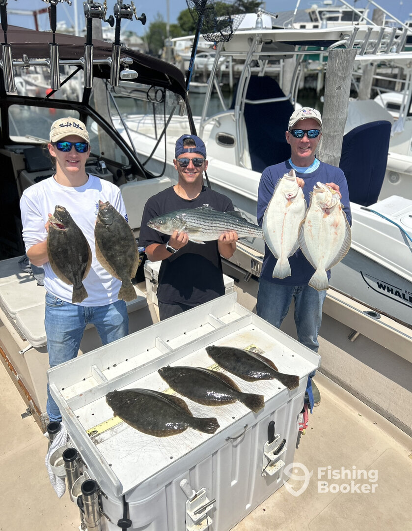 Hampton Bays Report Photo 0