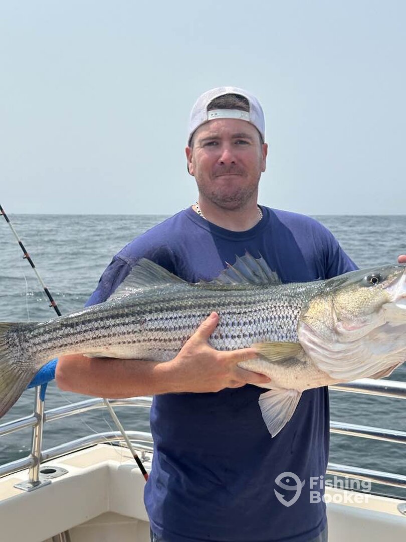 Montauk Report Photo 0