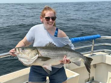 Montauk Report Photo 1