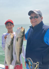THE STRIPERS JUST KEEP COMING!!