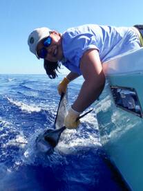 Quepos Report Photo 2