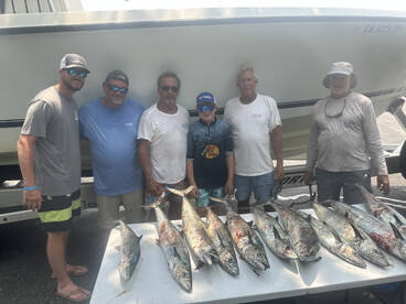 Great King Action Today