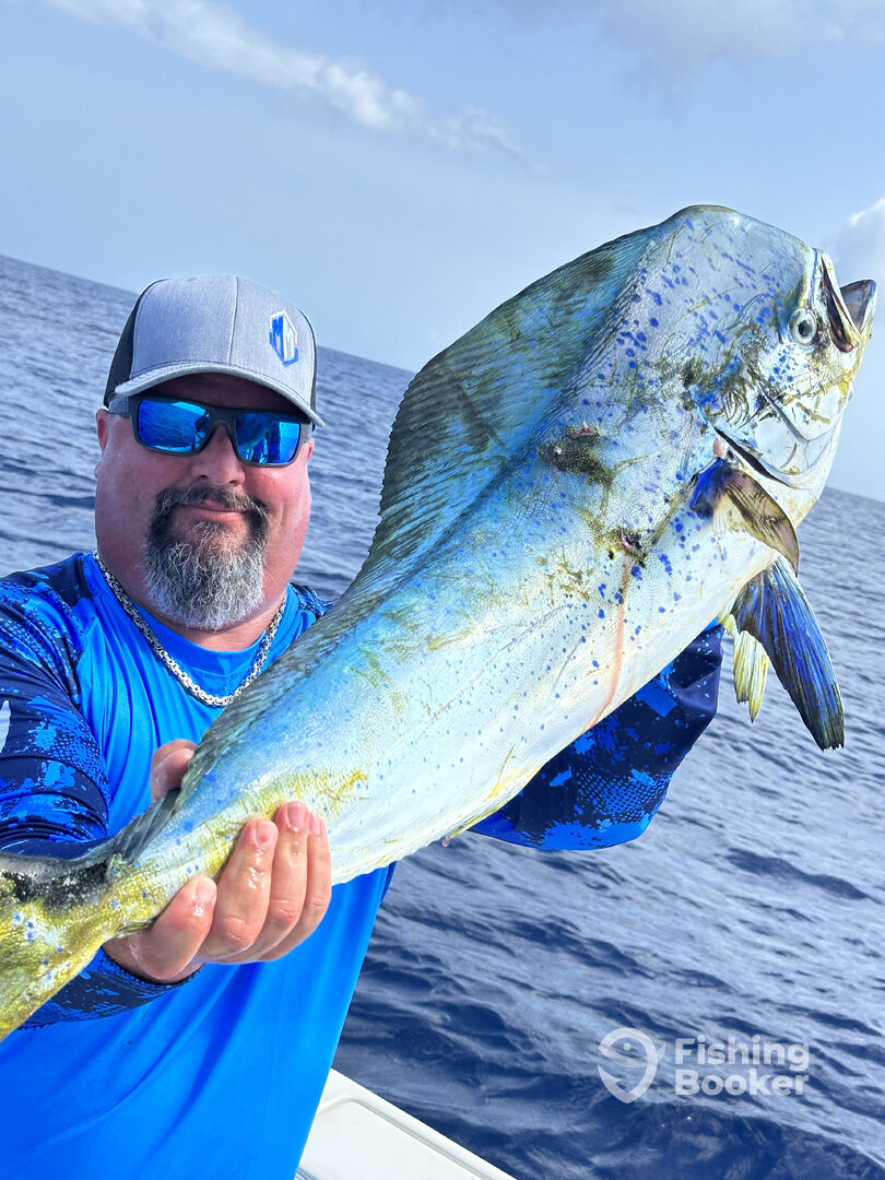 Puerto Aventuras Report Photo 0
