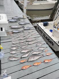 Tuna and tile limit! 