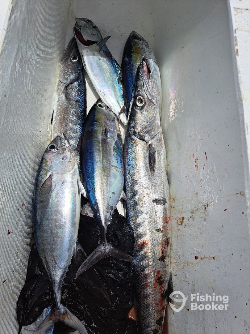 Roatan Report Photo 0