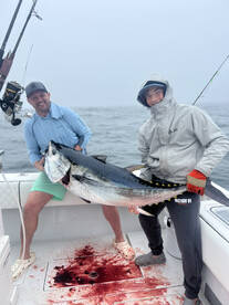 Chatham Report Photo 1
