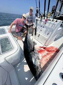 Chatham Report Photo 2