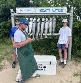 The kings were biting 7/19