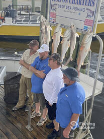 Bull Reds & Sharks
