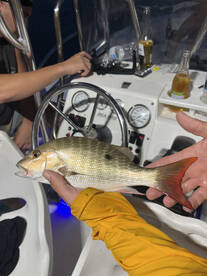 Port Canaveral Report Photo 2
