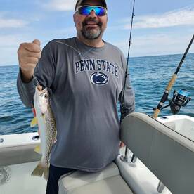 Stone Harbor Report Photo 2