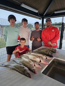 Wind stricken walleye