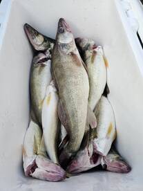 Lakeside Marblehead Report Photo 2