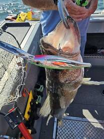 Lakeside Marblehead Report Photo 1